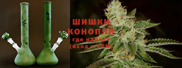 стаф Нефтегорск