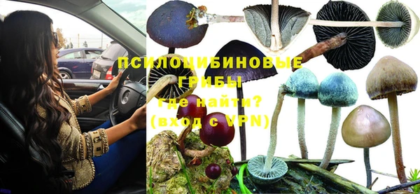 гидропоника Нефтекумск