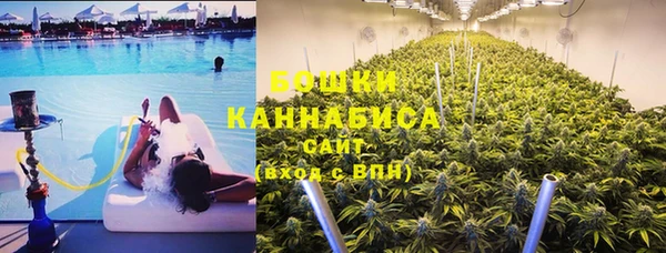стаф Нефтегорск