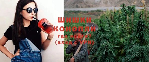 стаф Нефтегорск