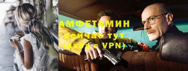 стаф Нефтегорск
