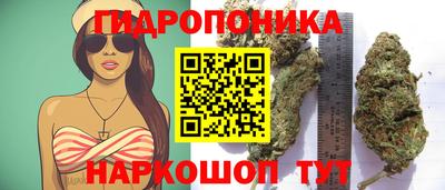 кристаллы Гусев