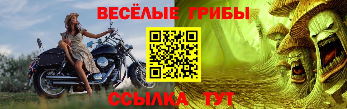 Галлюциногенные грибы Magic Shrooms Северодвинск